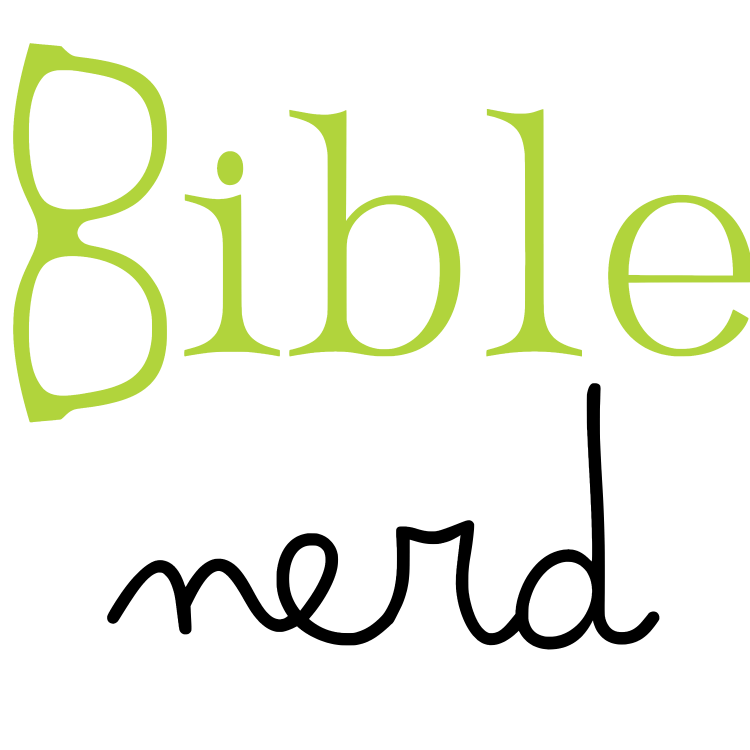 'Bible Nerd' Men's Hoodie