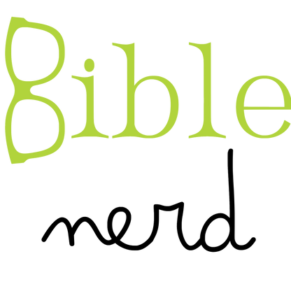 'Bible Nerd' Men's Hoodie